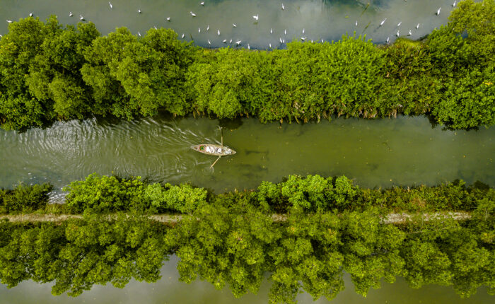 Cồn Chim Tuy Phước