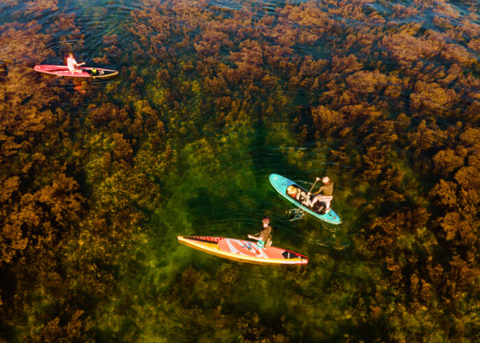 Kinh nghiệm Chèo Sup Hòn Khô