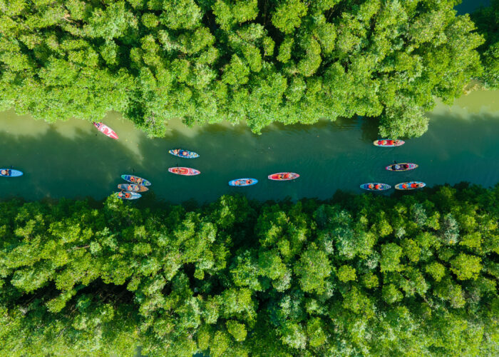 Hoạt động chèo sup tại cồn chim Đầm Thị Nại