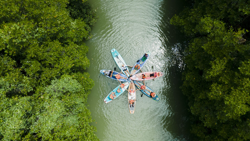 Chèo SUP tại Cồn Chim