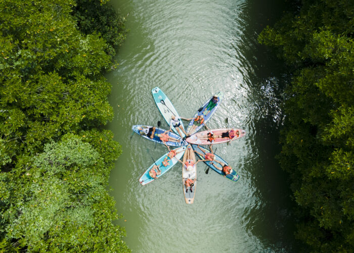 Chèo SUP tại Cồn Chim