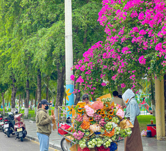 Xe hoa Hà Nội tại Quy Nhơn