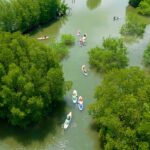 Tự do khám phá rừng đước nguyên sinh