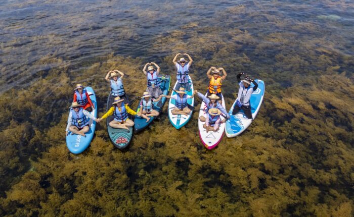 Chụp ảnh tập thể trên SUP trong bãi rong mơ