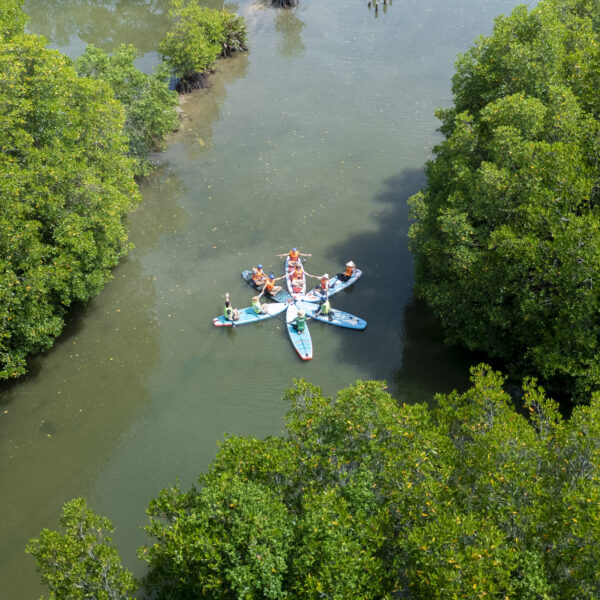 Check in Rừng Ngập Mặn