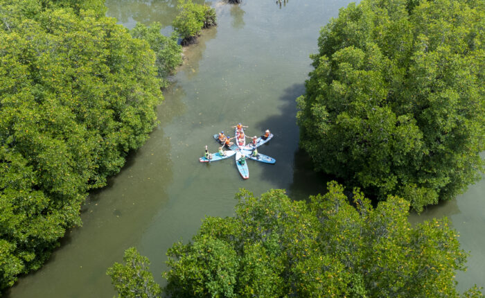 Check in Rừng Ngập Mặn