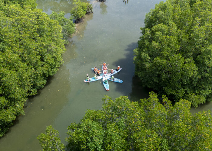 Check in Rừng Ngập Mặn