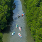 Du khách chèo Sup Cồn Chim