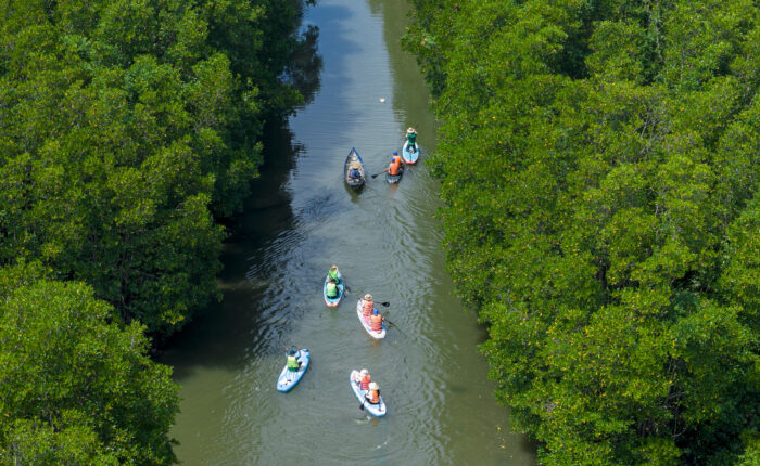 Du khách chèo Sup Cồn Chim