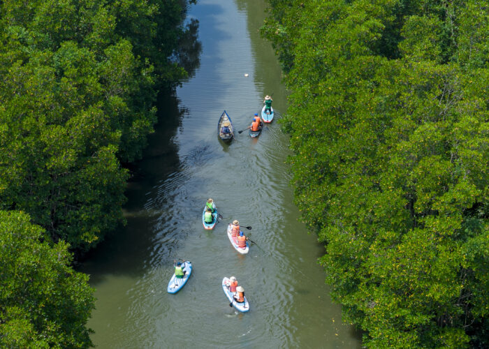 Du khách chèo Sup Cồn Chim Du khách chèo Sup Cồn Chim