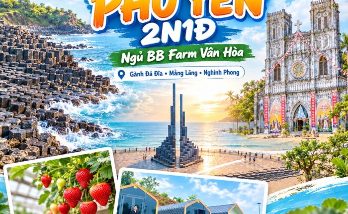Ảnh đại diện tour Phú Yên 2n1d