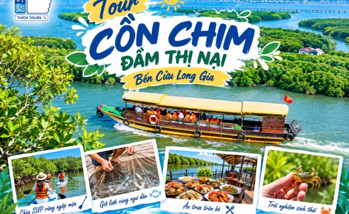 Ảnh đại diện tour du thuyền Cồn Chim