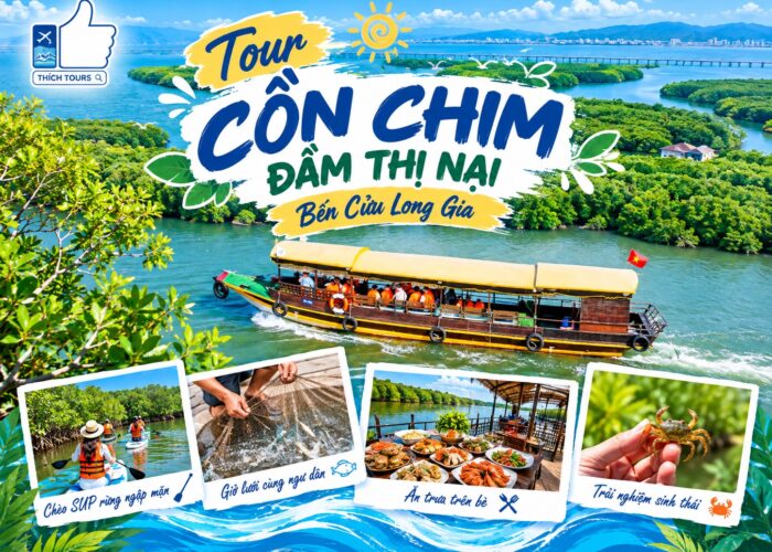 Ảnh đại diện tour du thuyền Cồn Chim