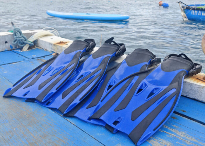 Chân vịt, Phin bơi dành cho du khách free diving
