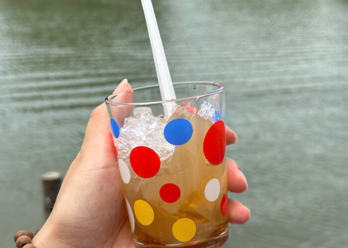 Xa xa đầm Thị Nại