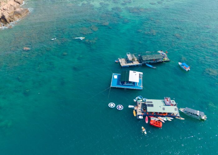 Khu vực ngắm san hô bè THICHTOURS