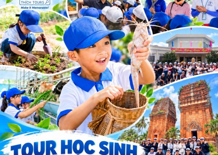 Ảnh đại diện tour trải nghiệm Quy Nhơn