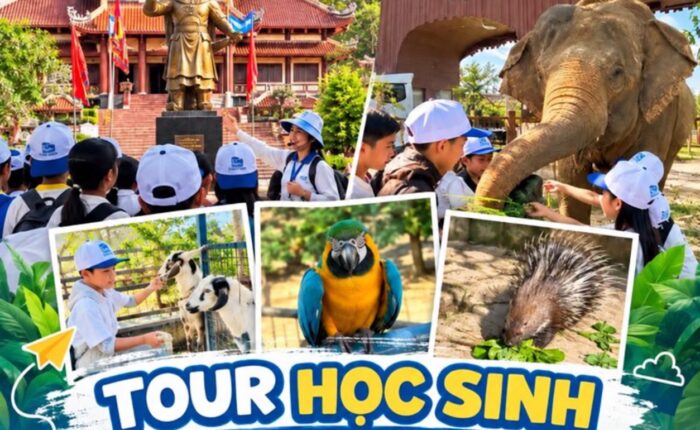 Ảnh đại diện combo tour 21