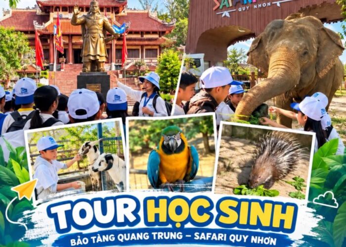 Ảnh đại diện combo tour 21