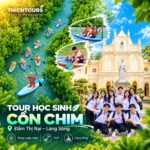 Ảnh đại diện tour học sinh cồn chim Quy Nhơn
