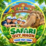 Safari Quy Nhơn