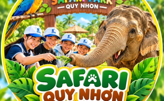 Safari Quy Nhơn