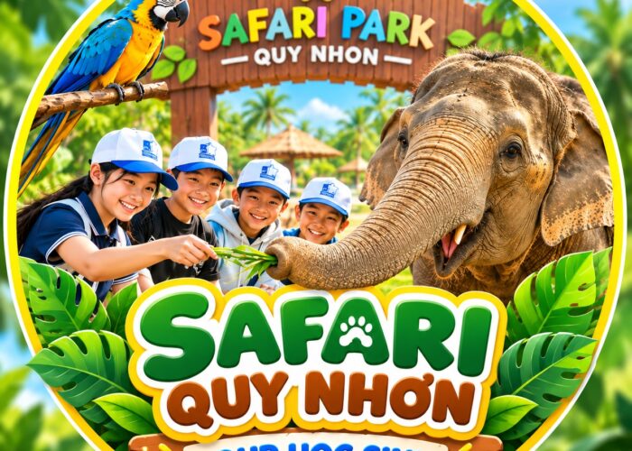 Safari Quy Nhơn