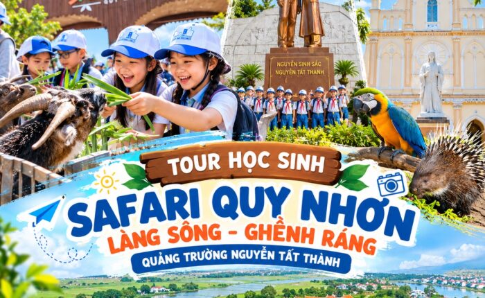 Ảnh đại diện Tour học sinh combo 12