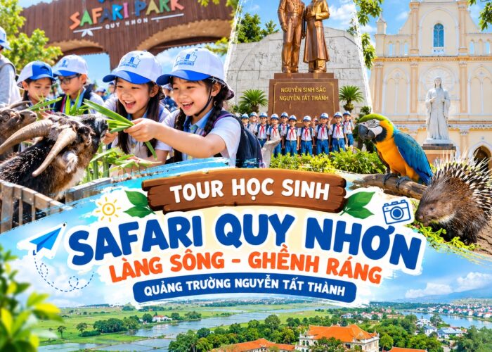 Ảnh đại diện Tour học sinh combo 12