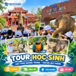 Ảnh đại diện combo tour 21