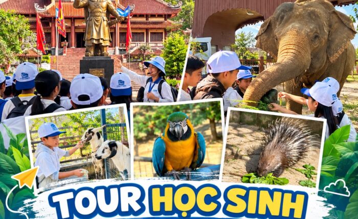 Ảnh đại diện combo tour 21
