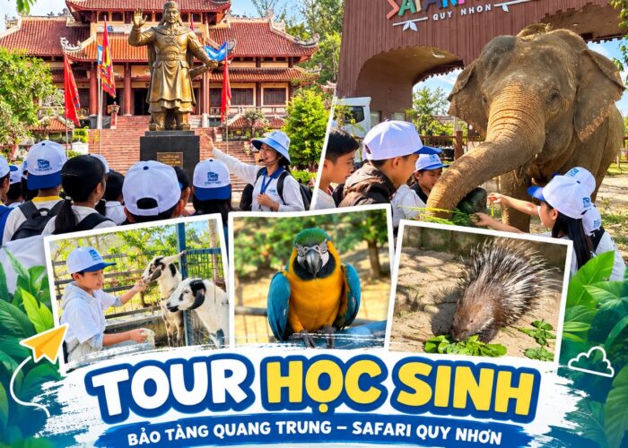 Ảnh đại diện combo tour 21