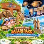 Ảnh đại diện tour Trung tâm khám phá khoa học Quy Nhơn - Quảng trường Nguyễn Tất Thành - Safari Park