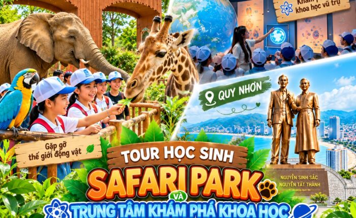 Ảnh đại diện tour Trung tâm khám phá khoa học Quy Nhơn - Quảng trường Nguyễn Tất Thành - Safari Park