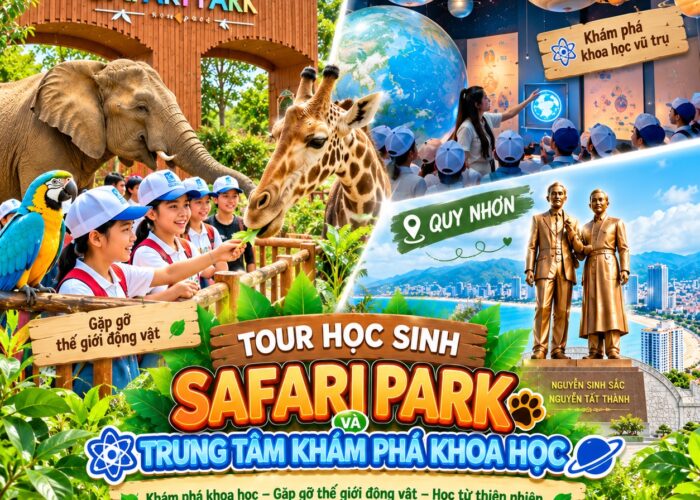 Ảnh đại diện tour Trung tâm khám phá khoa học Quy Nhơn - Quảng trường Nguyễn Tất Thành - Safari Park
