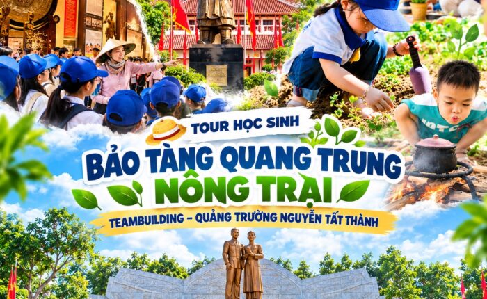 Ảnh đại diện combo tour 16