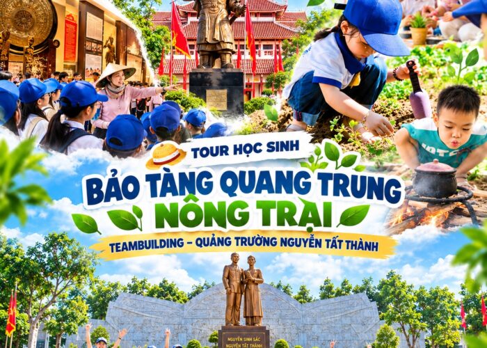 Ảnh đại diện combo tour 16