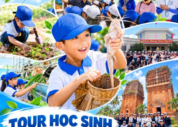 Ảnh đại diện tour trải nghiệm Quy Nhơn