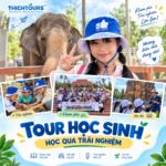 Tour học sinh Quy Nhơn