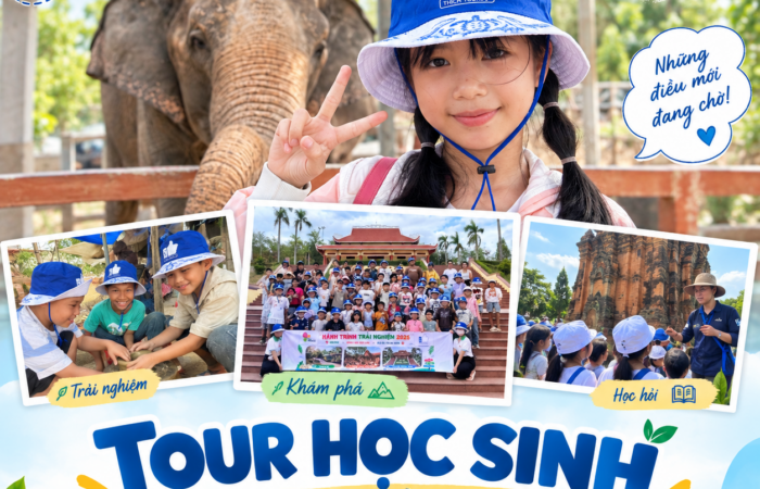 Tour học sinh Quy Nhơn