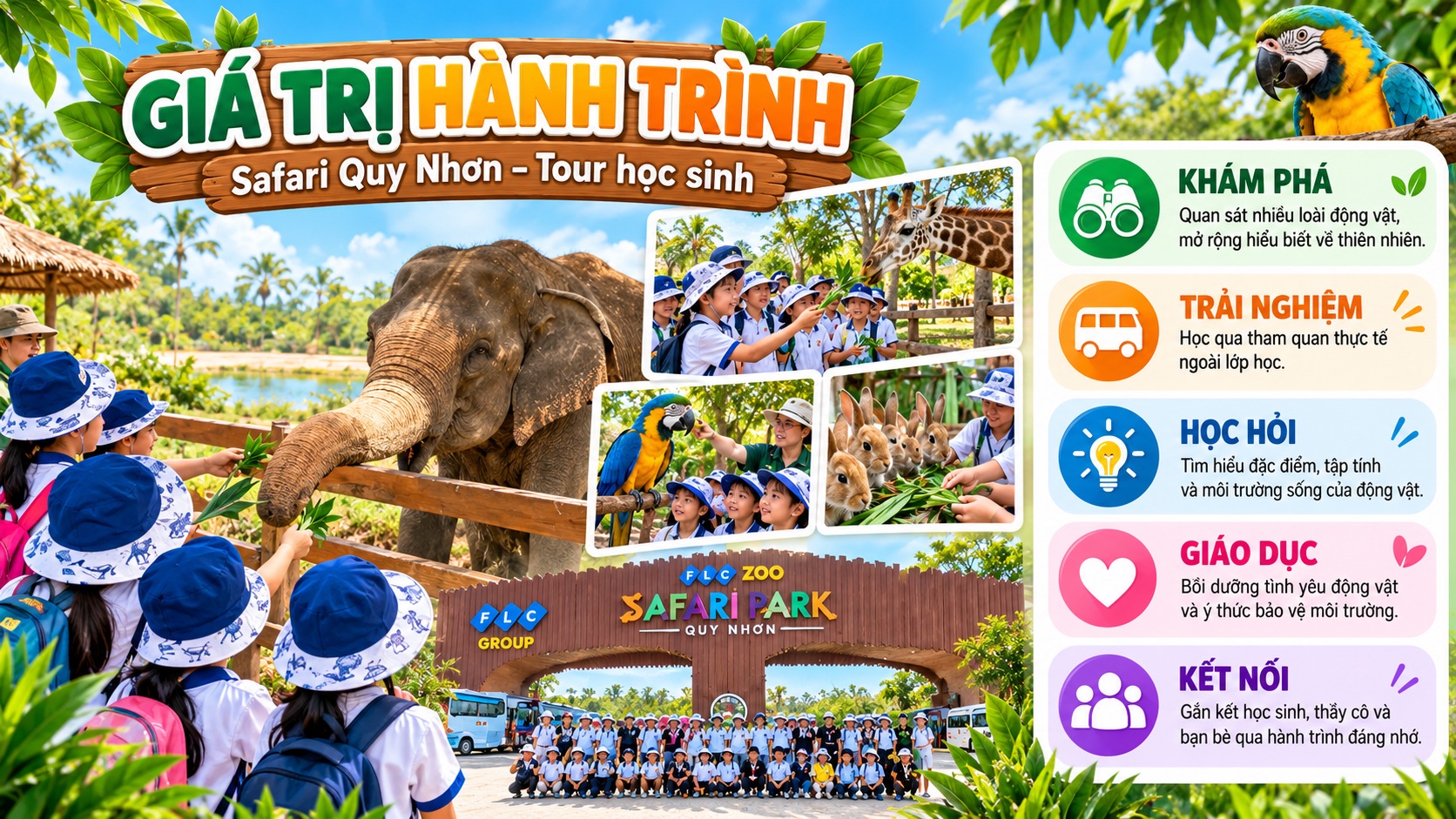 Safari Quy Nhơn