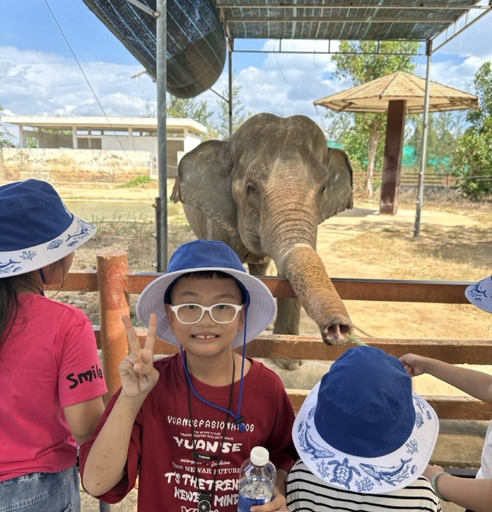 Học sinh tại chuồng voi tại Safari Quy Nhơn