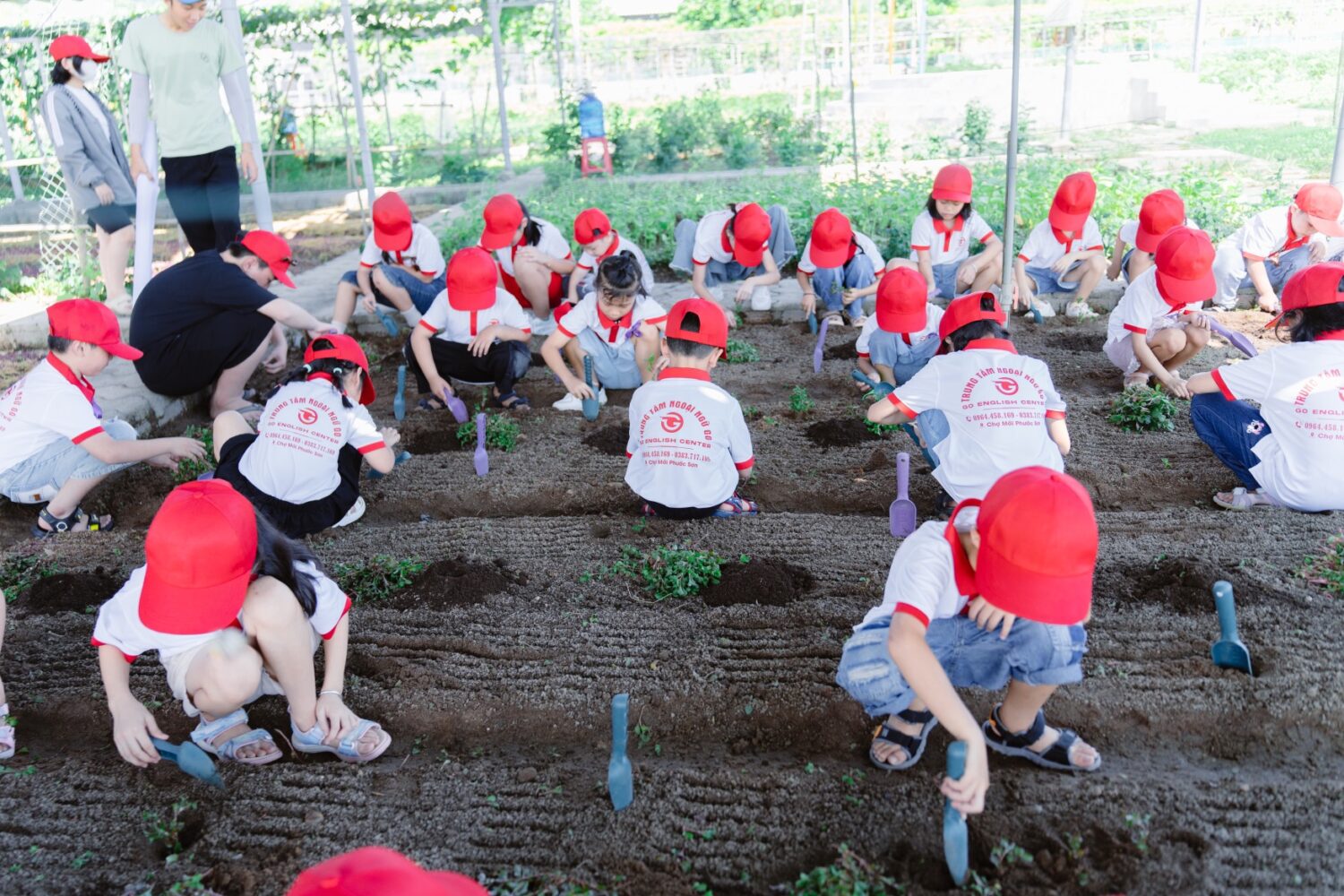 Học sinh trồng cây tại Nông trại CA FARM