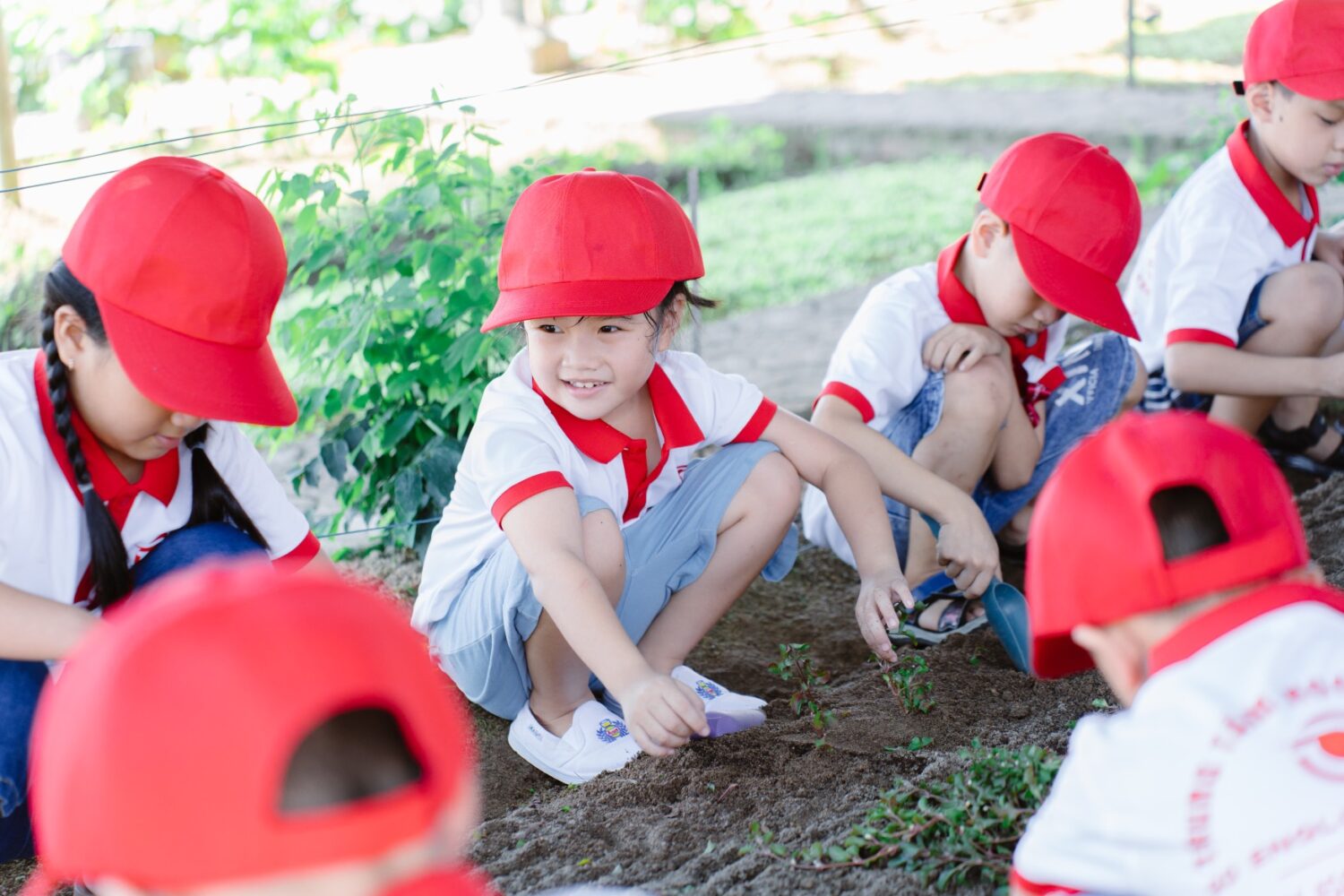 Học sinh trồng cây tại Nông trại CA FARM