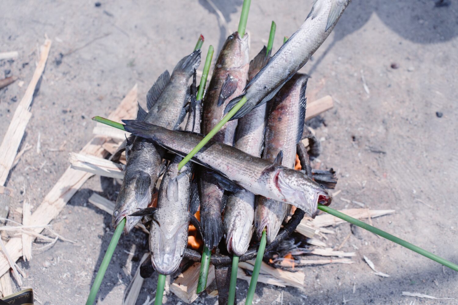 Nướng cá tại Nông trại CA FARM