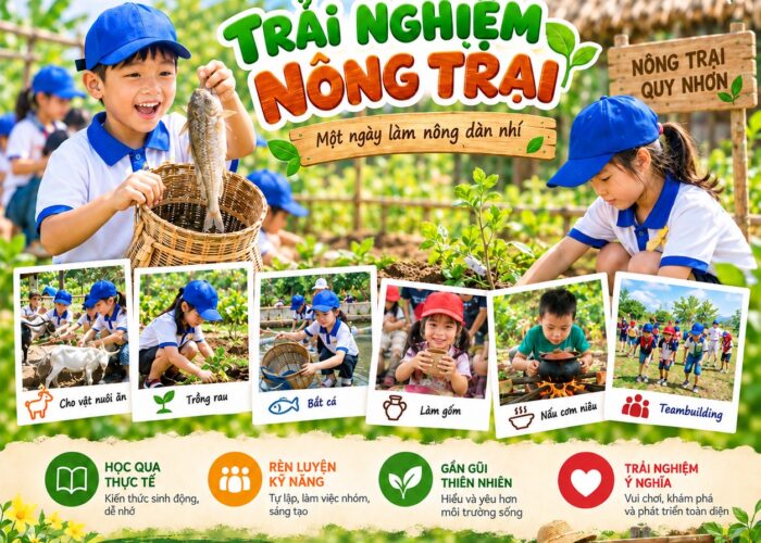 Ảnh đại diện Nông trại Quy Nhơn