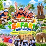 ảnh dại diện combo tour 12