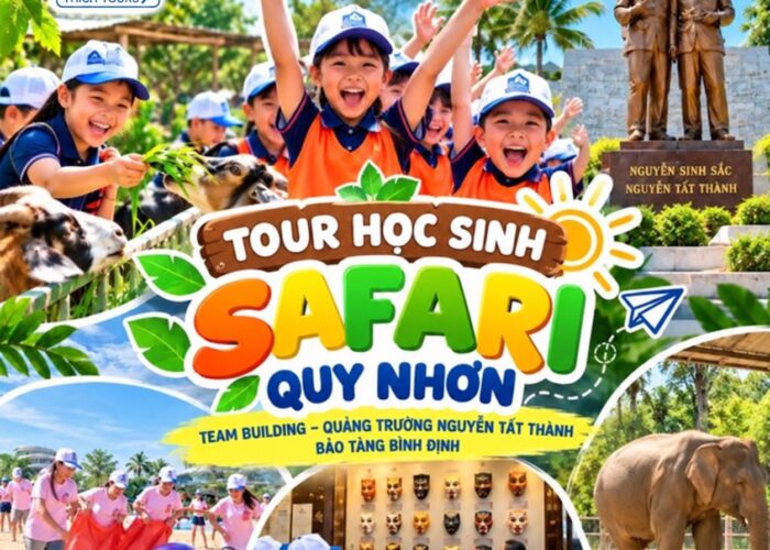 ảnh dại diện combo tour 12