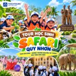Ảnh đại diện combo tour 12