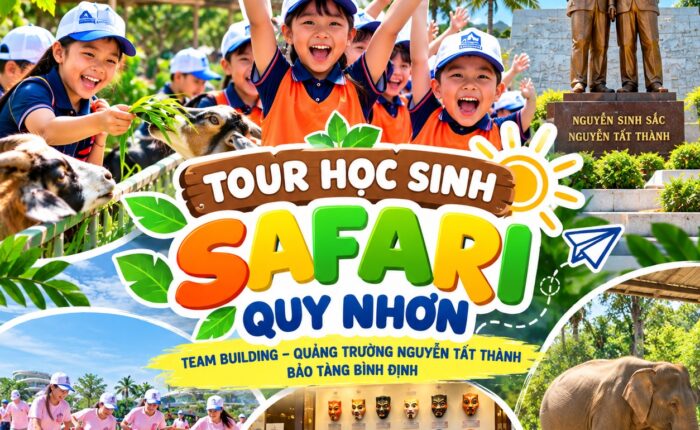 Ảnh đại diện combo tour 12